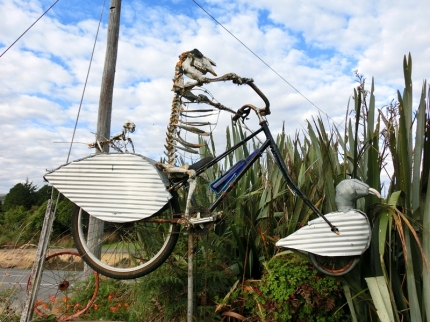 catlins (10)